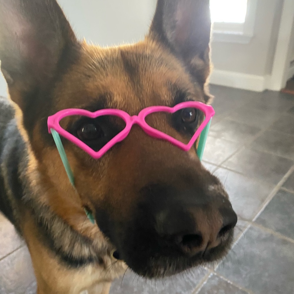 Meet your Posher, Britney